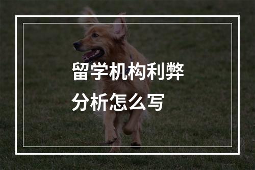 留学机构利弊分析怎么写