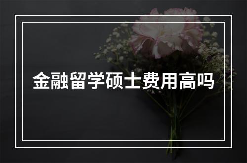 金融留学硕士费用高吗