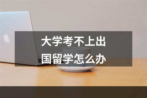 大学考不上出国留学怎么办