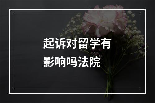 起诉对留学有影响吗法院