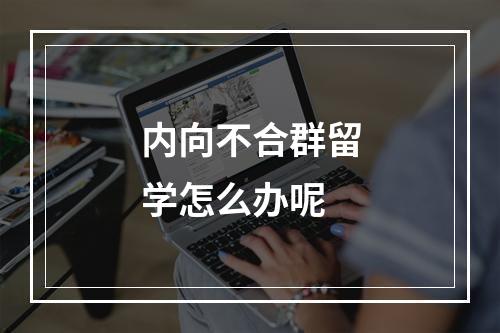 内向不合群留学怎么办呢