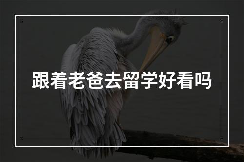 跟着老爸去留学好看吗