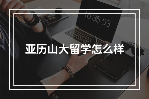 亚历山大留学怎么样