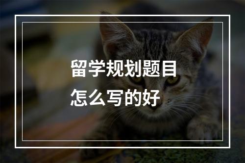 留学规划题目怎么写的好