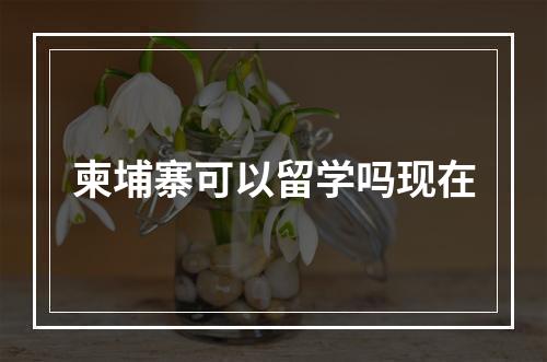 柬埔寨可以留学吗现在