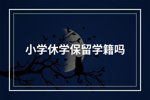 小学休学保留学籍吗