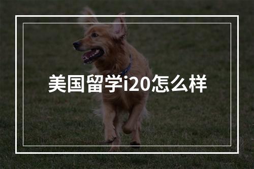 美国留学i20怎么样