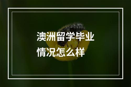 澳洲留学毕业情况怎么样