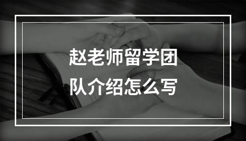 赵老师留学团队介绍怎么写