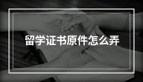 留学证书原件怎么弄