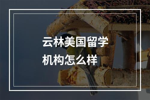 云林美国留学机构怎么样