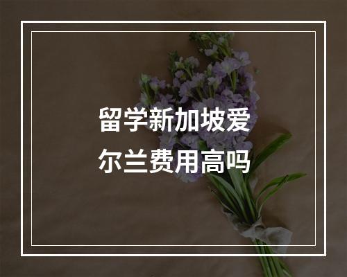 留学新加坡爱尔兰费用高吗