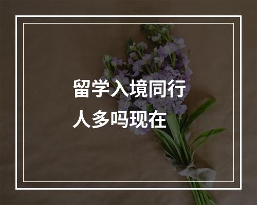 留学入境同行人多吗现在