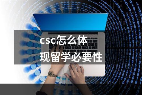 csc怎么体现留学必要性