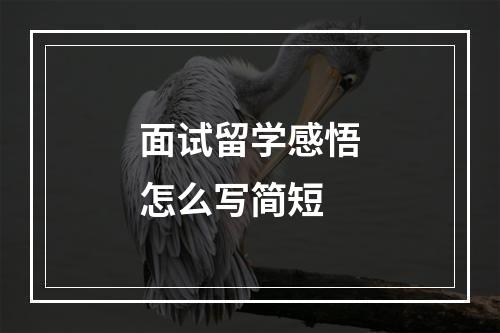 面试留学感悟怎么写简短