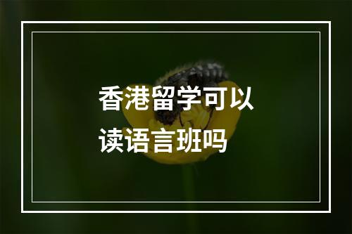 香港留学可以读语言班吗