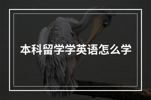 本科留学学英语怎么学