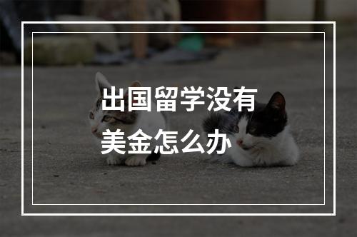 出国留学没有美金怎么办