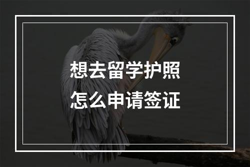 想去留学护照怎么申请签证