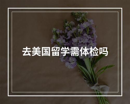 去美国留学需体检吗