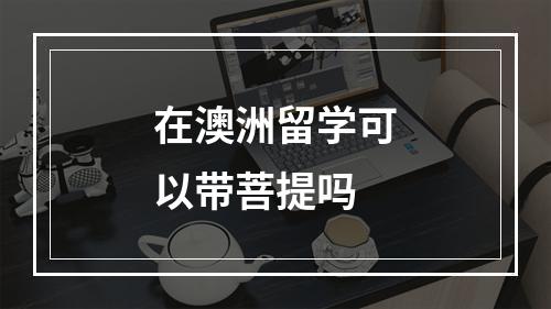 在澳洲留学可以带菩提吗