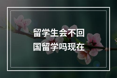 留学生会不回国留学吗现在