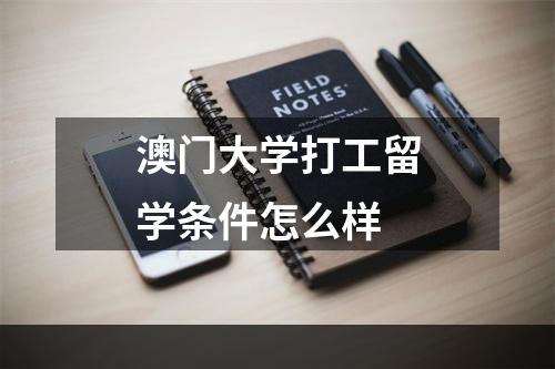 澳门大学打工留学条件怎么样