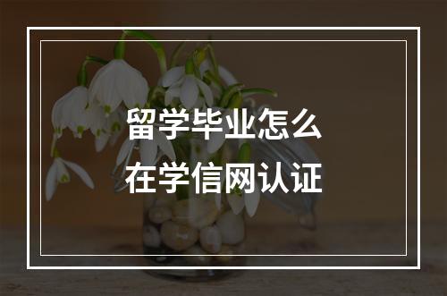 留学毕业怎么在学信网认证