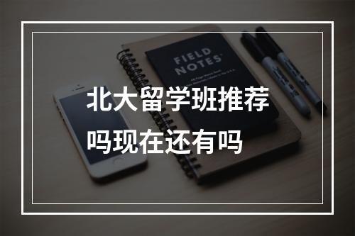 北大留学班推荐吗现在还有吗