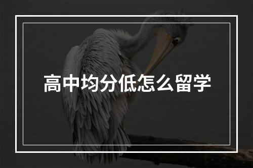 高中均分低怎么留学