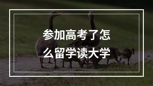 参加高考了怎么留学读大学