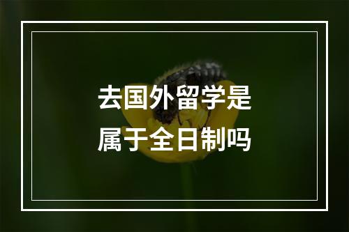 去国外留学是属于全日制吗