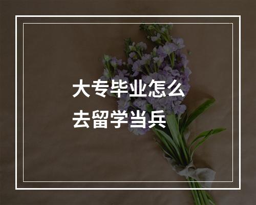 大专毕业怎么去留学当兵