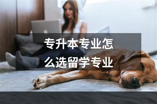 专升本专业怎么选留学专业