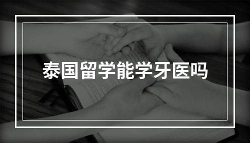 泰国留学能学牙医吗