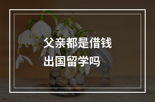 父亲都是借钱出国留学吗