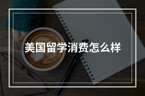 美国留学消费怎么样