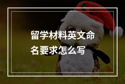 留学材料英文命名要求怎么写