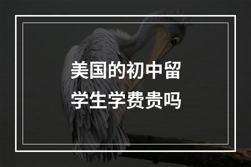 美国的初中留学生学费贵吗