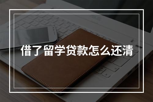 借了留学贷款怎么还清