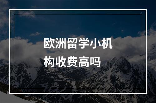 欧洲留学小机构收费高吗