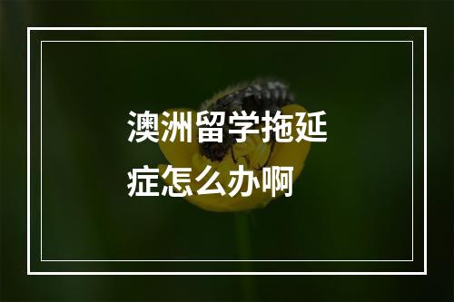 澳洲留学拖延症怎么办啊