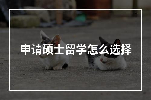 申请硕士留学怎么选择