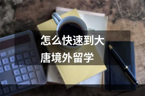 怎么快速到大唐境外留学