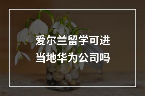 爱尔兰留学可进当地华为公司吗