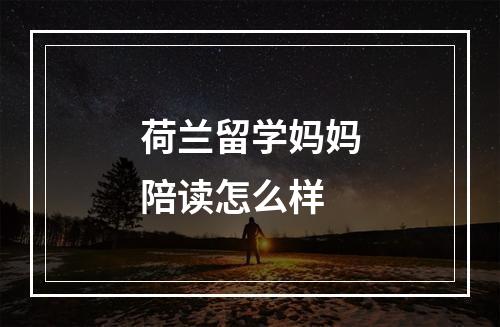 荷兰留学妈妈陪读怎么样