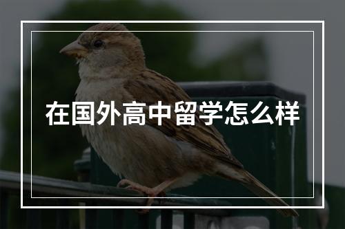 在国外高中留学怎么样