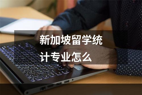 新加坡留学统计专业怎么