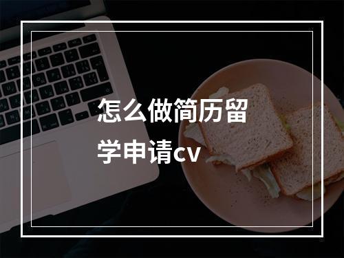 怎么做简历留学申请cv