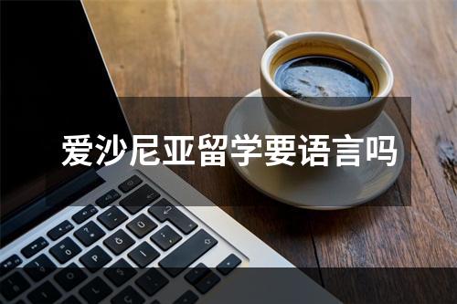 爱沙尼亚留学要语言吗